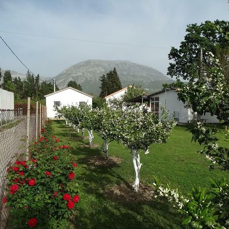 Apartman Zorana Bar Buitenkant foto