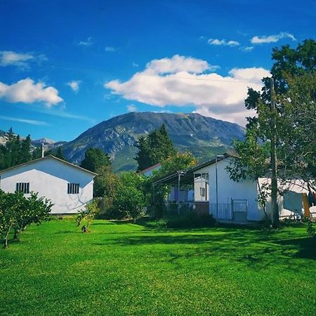 Apartman Zorana Bar Buitenkant foto
