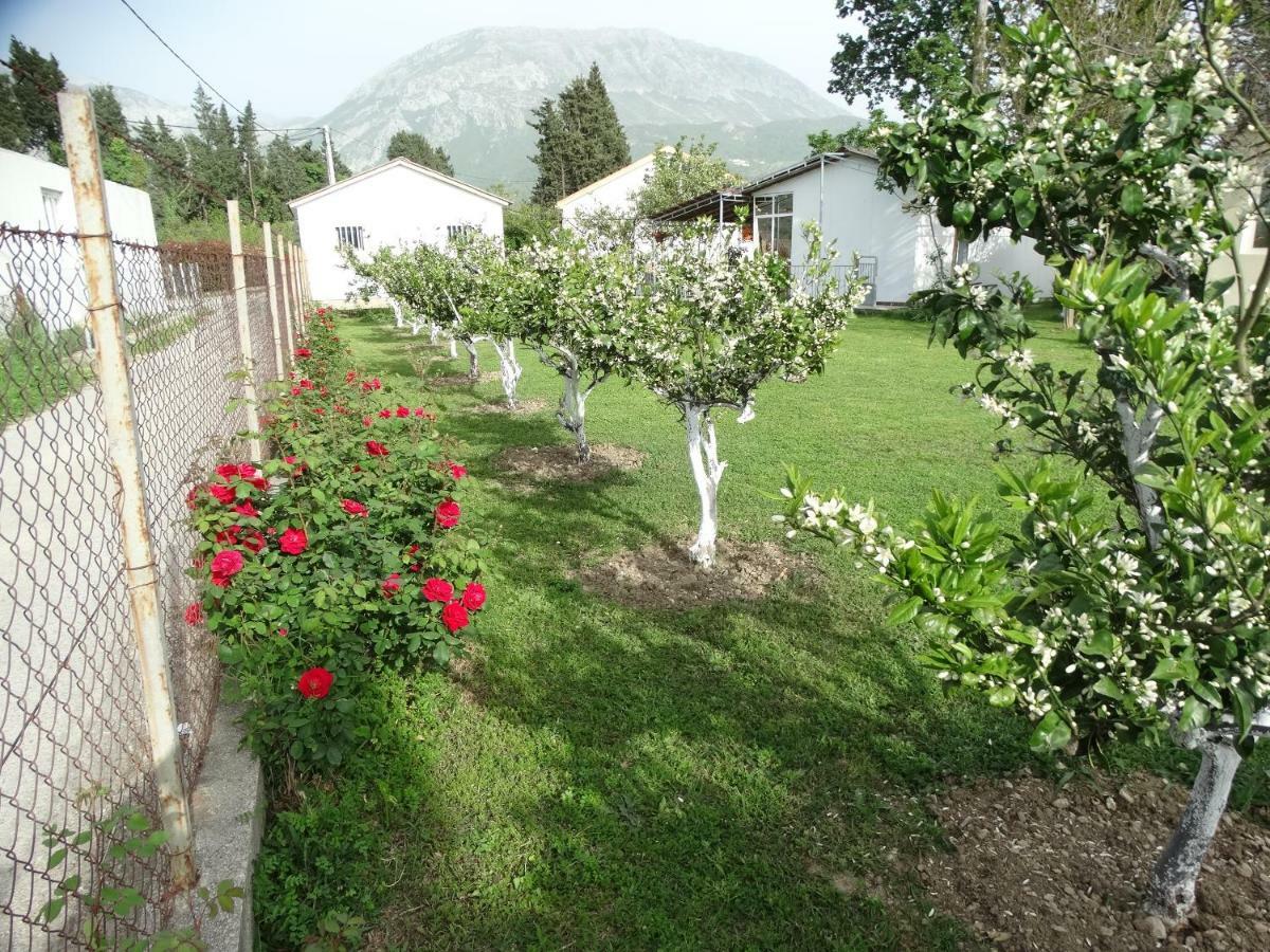 Apartman Zorana Bar Buitenkant foto